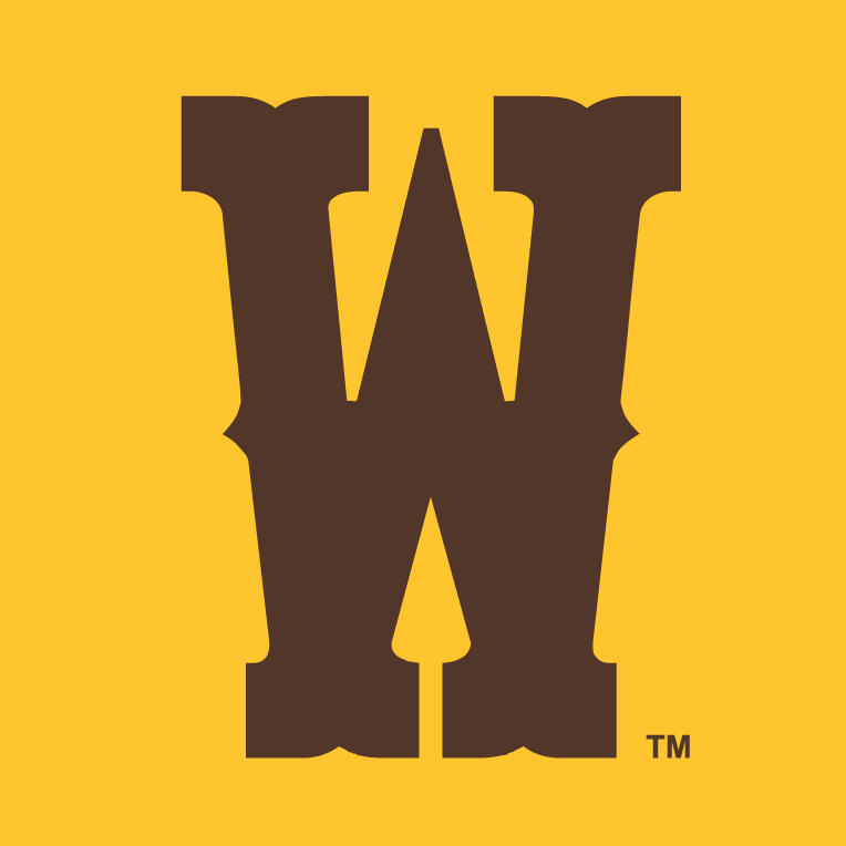 Wyoming Cowboys 2013-Pres Secondary Logo v3 iron on transfers for clothing